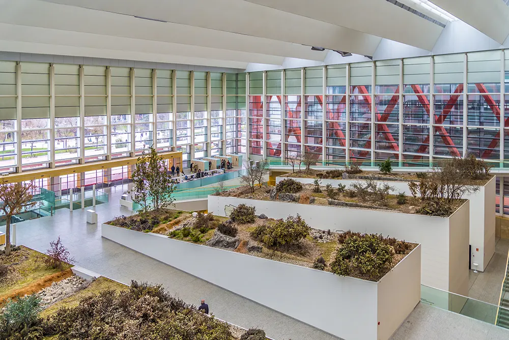 Museo de la Evolución Humana en Burgos interior